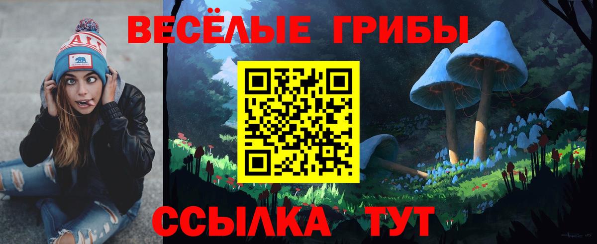 как найти   Псилоцибиновые грибы Magic Shrooms  Вход с VPN  Отрадное 