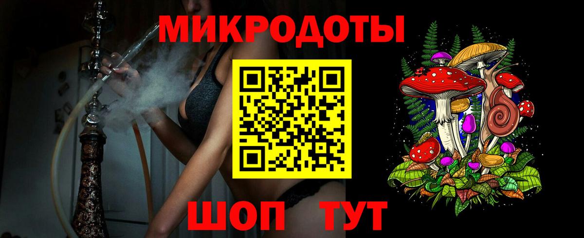 Галлюциногенные грибы Psilocybe Отрадное